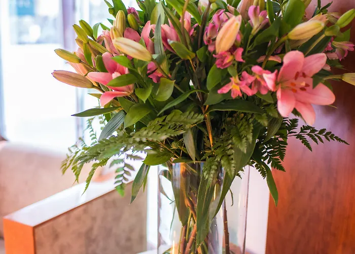 Acinipo Ξενοδοχείο