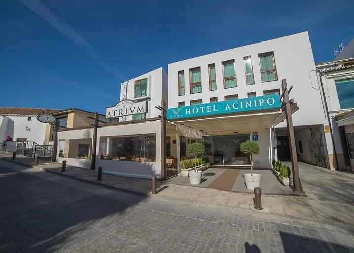 Acinipo 4* Ρόντα